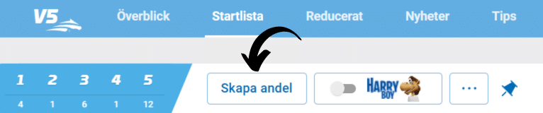 Bilden visar hur man spelar andelsspel hos atg.se