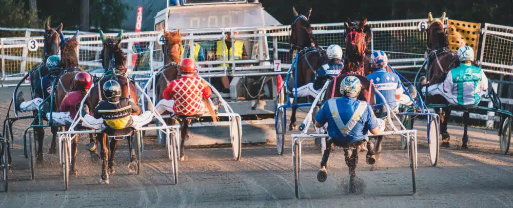 Om oss - hästar springar på travbana