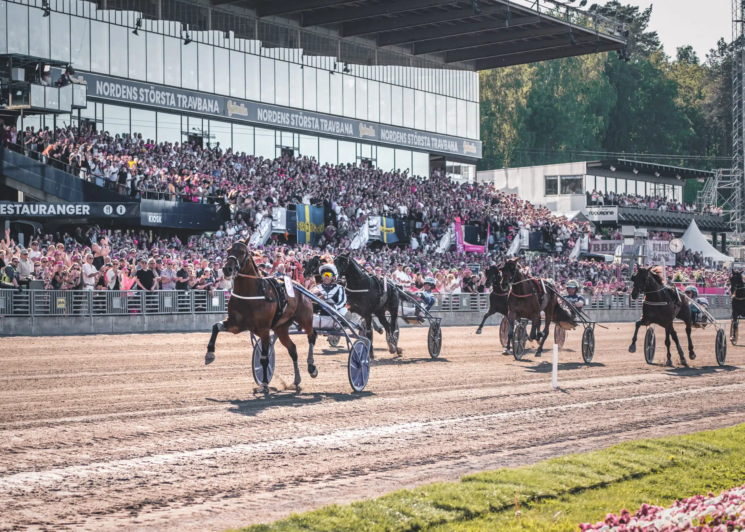 Elitloppet