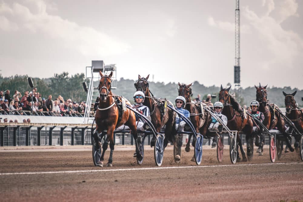 Horsy Dream. Belloche.