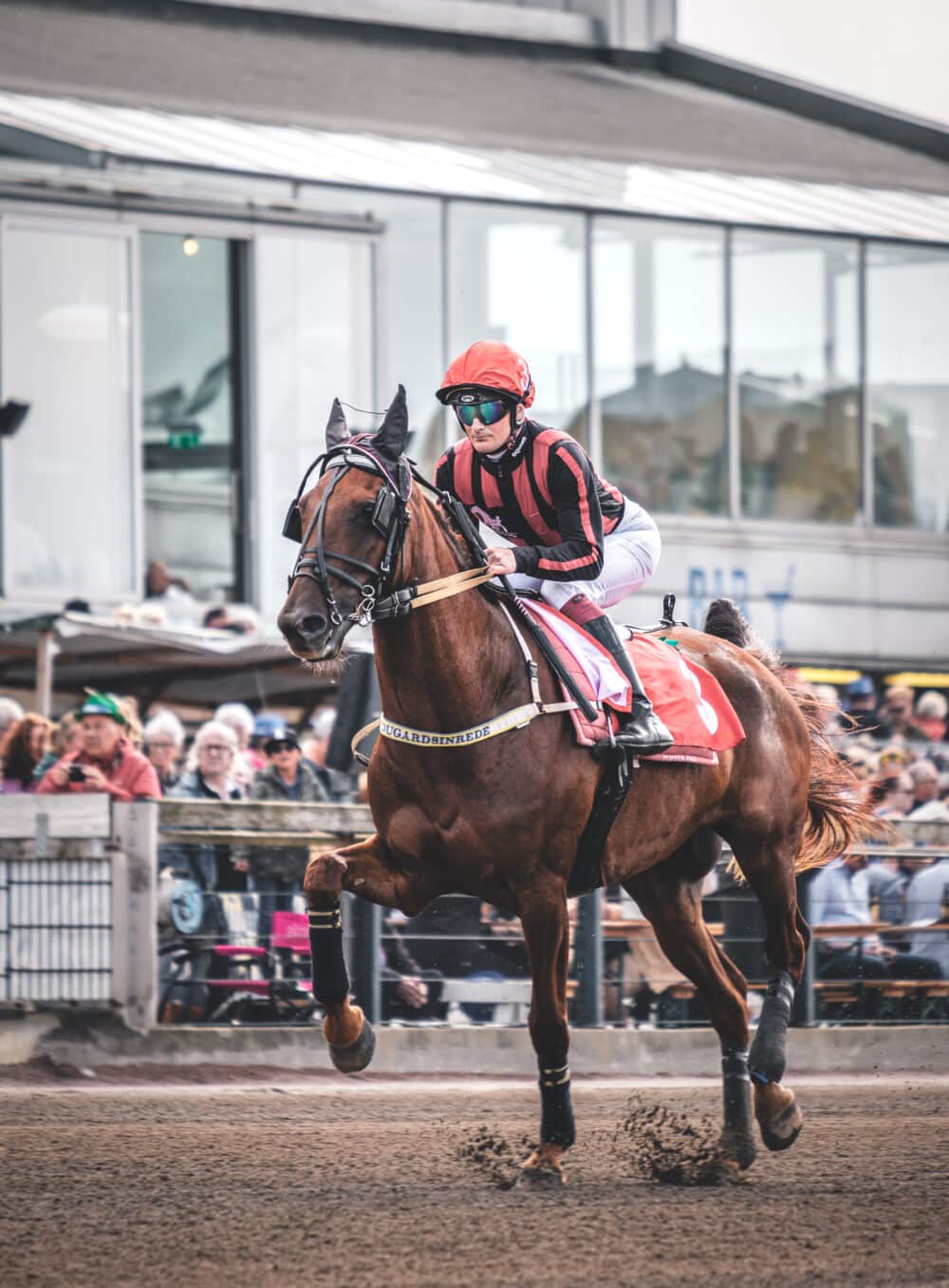 Jonathan Carré. Monté.