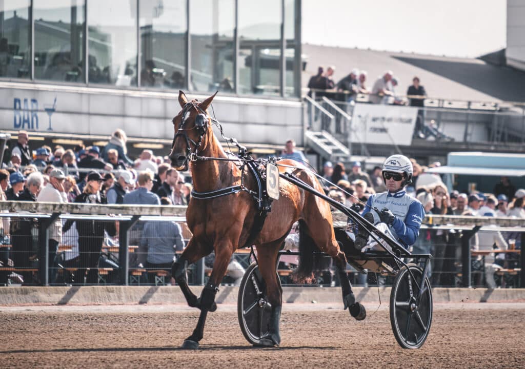 Färjestad Hockey News: Today's Double Tip - News Directory 3
