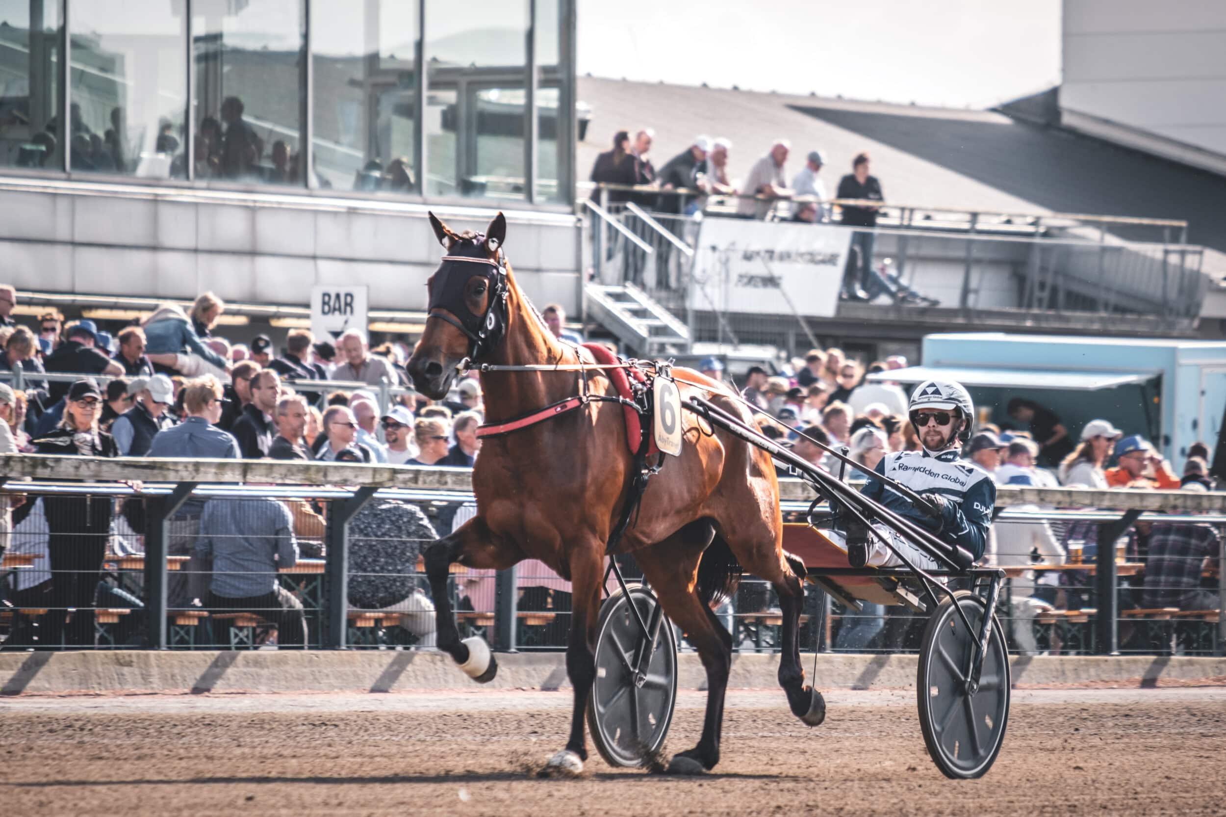 Magnus A Djuse.