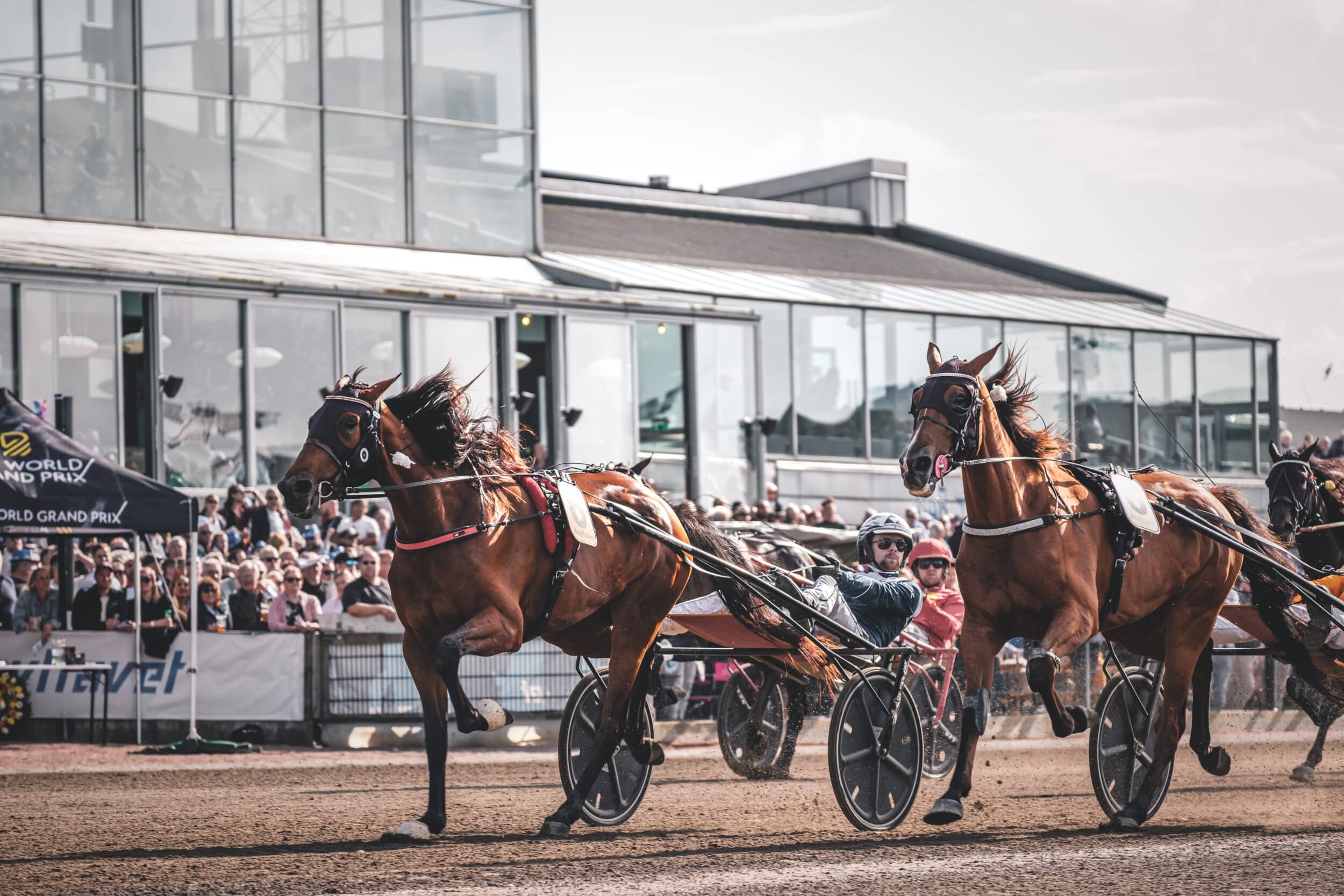 Magnus A Djuse.